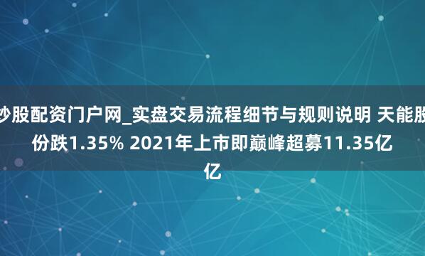 炒股配资门户网_实盘交易流程细节与规则说明 天能股份跌1.35% 2021年上市即巅峰超募11.35亿